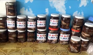 Xây dựng thương hiệu mắm cá đồng U Minh Thượng