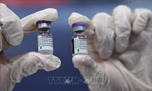 Tòa án EU xem xét các cáo buộc sai phạm trong quá trình mua vaccine ngừa COVID-19