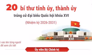 Thông tin chi tiết về 20 bí thư tỉnh ủy, thành ủy trúng cử đại biểu Quốc hội khóa XVI