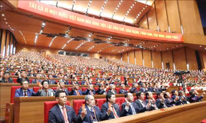 Tin tưởng vào bước phát triển mới của đất nước