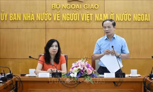 Trao đổi thông tin về cộng đồng người Việt Nam ở nước ngoài