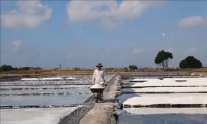 Nâng tầm giá trị hạt muối, gỡ khó cho diêm dân