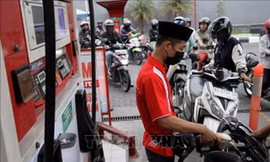 Thị trường năng lượng bất ngờ xoay trục sang nhiên liệu sinh học