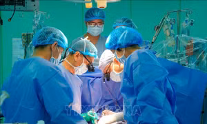 Thêm một ca ghép tim thành công từ người chết não