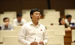 Tạo điều kiện thuận lợi cho thanh niên thực hiện trách nhiệm