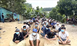 Triệt phá trường gà quy mô lớn tại thành phố Biên Hòa