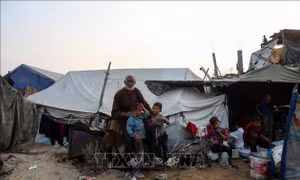 Các nước Hồi giáo lo ngại Israel đẩy người dân Palestine khỏi Gaza