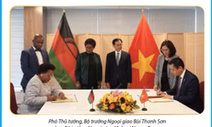 Ngày 23/9/2024, Việt Nam thiết lập quan hệ ngoại giao với Malawi