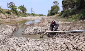 Tăng cường sự lãnh đạo của Đảng trong phòng ngừa, ứng phó, khắc phục hậu quả thiên tai
