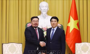 Chủ tịch nước Lương Cường tiếp Chánh Văn phòng Tổng thống Mông Cổ