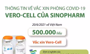Thông tin về vaccine phòng COVID-19 của Sinopharm, Trung Quốc