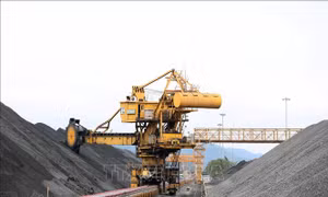 Doanh nghiệp sẵn sàng các phương án ứng phó với điều chỉnh giá điện