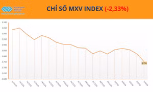 Dòng tiền ‘xoay quanh’ cà phê, MXV-Index giảm 2,3% trong tuần đầu tháng 6