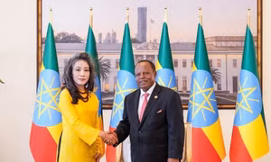 Thúc đẩy hợp tác Việt Nam - Ethiopia
