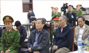 Xử lý 42 người đứng đầu để xảy ra tham nhũng trong năm 2019