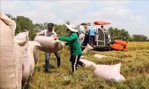 Chuyên gia Nguyễn Hữu Thiện: Đồng bằng sông Cửu Long có thể làm hình mẫu cho thế giới