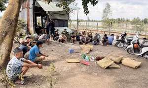 Triệt phá sới bạc nằm sâu trong cánh đồng, bắt 22 đối tượng