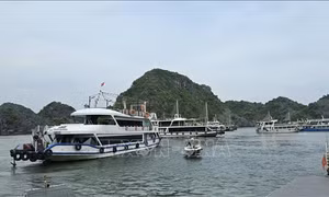 Tàu chạy tuyến vịnh Hạ Long - Lan Hạ đi vào hoạt động