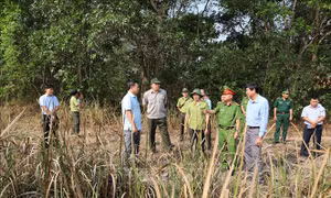 Tây Ninh cảnh báo cháy rừng ở cấp cực kỳ nguy hiểm