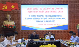 Đoàn công tác Bộ Y tế làm việc tại Lai Châu về phát triển y dược cổ truyền