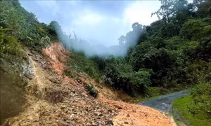 Mưa lớn gây sạt lở, ách tắc trên nhiều tuyến đường miền núi phía Tây tỉnh Nghệ An