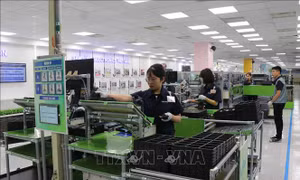 Những lợi thế giúp Việt Nam trở thành 'nam châm' hút FDI ở Đông Nam Á