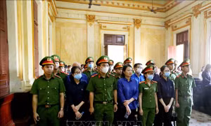 Tuyên án vụ án vi phạm quy định đấu thầu tại Sở Y tế tỉnh Tây Ninh