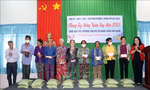 Hỗ trợ hơn 14.169 tấn gạo cứu đói dịp Tết Nguyên đán và giáp hạt năm 2024 cho 15 tỉnh