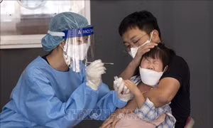 Tỷ lệ mắc bệnh trầm cảm tăng cao trong dịch COVID-19