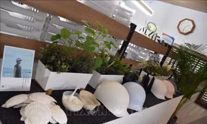 Nhật Bản ra mắt mũ bảo hiểm được làm từ vỏ sò và nhựa tái chế