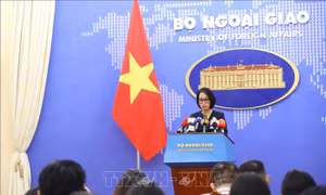 Việt Nam sẽ cử đại diện tham gia Hội nghị Thượng đỉnh của Nhóm BRICS