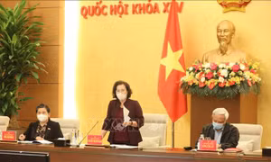 Đảng đoàn Quốc hội cho ý kiến về Đề án bầu cử đại biểu Quốc hội khóa XV