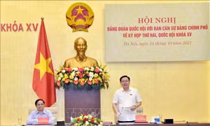 Rà soát nội dung trình Kỳ họp thứ 2, Quốc hội khóa XV