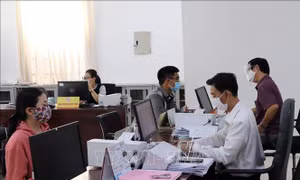 Ban hành Danh mục dịch vụ sự nghiệp công cơ bản, thiết yếu thuộc ngành tư pháp