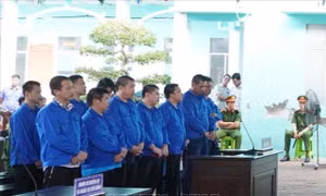 Tuyên phạt 12 bị cáo gây rối loạn hoạt động của phương tiện điện tử