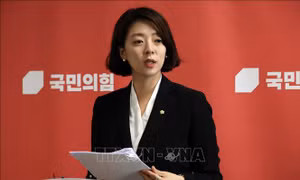 Chính giới Hàn Quốc phản đối vụ tấn công nhằm vào nghị sĩ Bae Hyun-jin