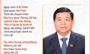 Phó Thủ tướng Chính phủ Nguyễn Chí Dũng