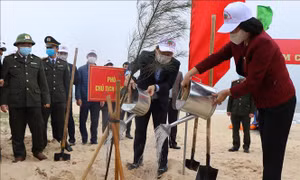 Phó Chủ tịch nước phát động Tết trồng cây ở Quảng Bình