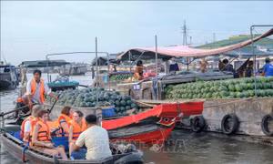 Du lịch Đồng bằng sông Cửu Long tiếp tục bứt phá