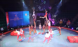 Cuộc thi Tài năng Xiếc toàn quốc - 2021 được livestream trên Youtube