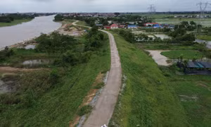 Khẩn trương xử lý sự cố lún, nứt đê hữu Cầu và hữu Hồng