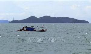 Tạm giữ 5 tàu cá vi phạm trong lĩnh vực thủy sản