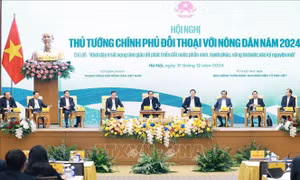 Thủ tướng Chính phủ: Cần nghiên cứu để đưa ra chính sách bảo hiểm nông nghiệp hiệu quả