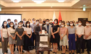 Triển khai toàn diện và mạnh mẽ hơn nữa công tác người Việt Nam ở nước ngoài