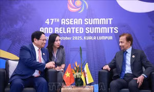 Thủ tướng Phạm Minh Chính gặp Quốc vương Brunei Hassanal Bolkiah