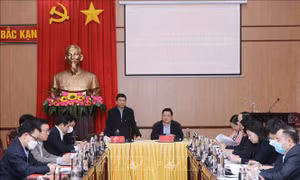 Đoàn công tác Ban Chỉ đạo Trung ương tổng kết Nghị quyết số 26 làm việc tại tỉnh Bắc Kạn