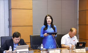 Cần thống nhất hành lang pháp lý về chuyển đổi số