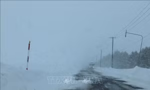 Đợt tuyết rơi kỷ lục tại Hokkaido (Nhật Bản)