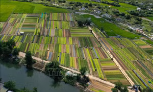 Thừa Thiên - Huế: Huyện Quảng Điền đạt chuẩn nông thôn mới