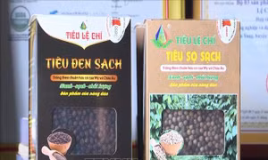 Giá giảm, xuất khẩu hồ tiêu vẫn duy trì đà tăng trưởng trên 25%